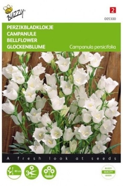 005300 zvoncek biely_500x5001